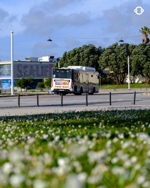 STCP ASSUME HORÁRIOS DE "VERÃO" A PARTIR DO PRÓXIMO FIM-DE-SEMANA