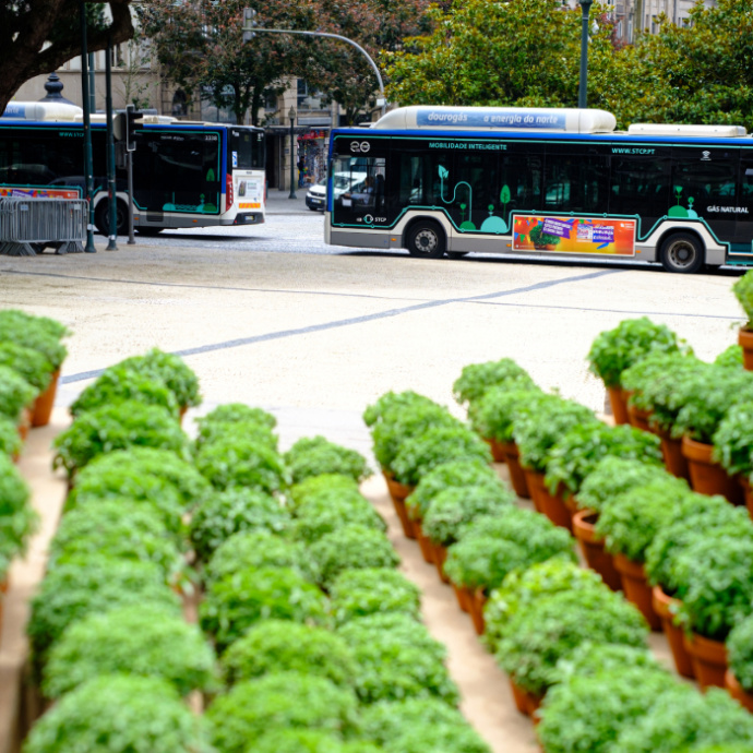 autocarro stcp